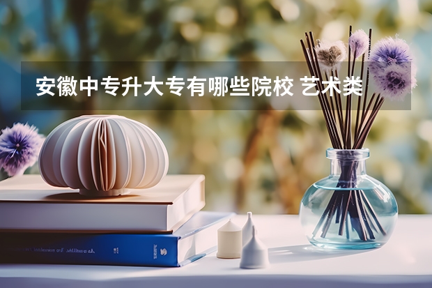 安徽中专升大专有哪些院校 艺术类