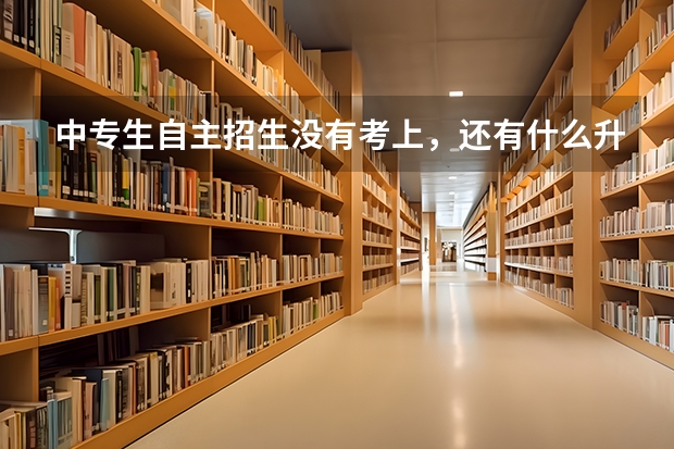 中专生自主招生没有考上，还有什么升学历途径吗