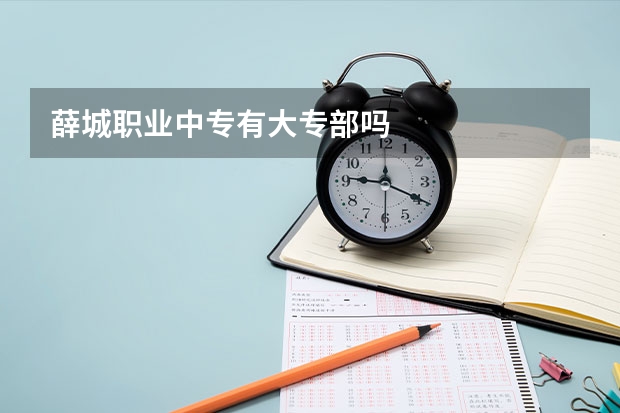 薛城职业中专有大专部吗