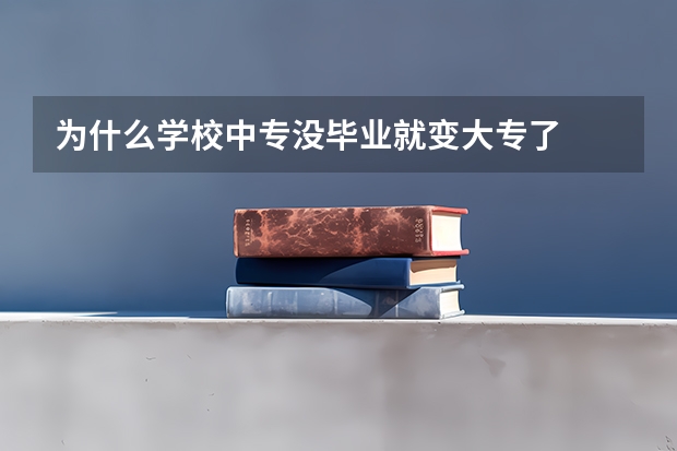 为什么学校中专没毕业就变大专了